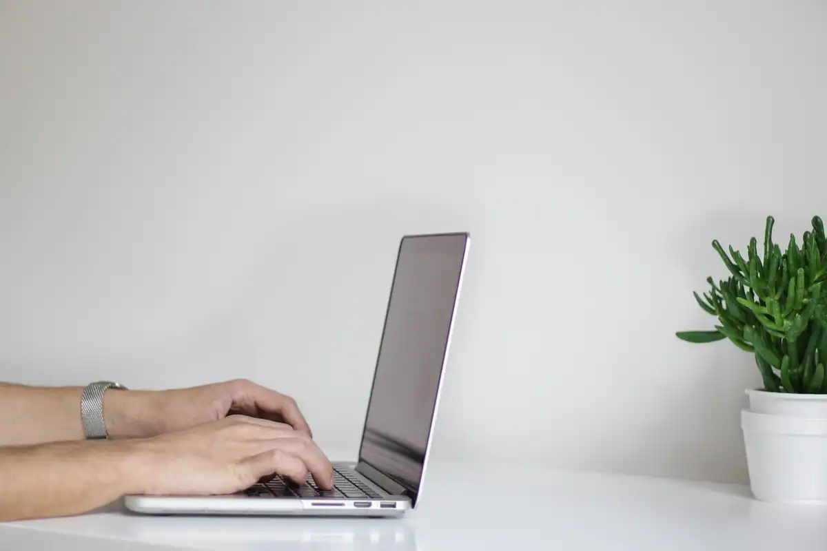 Mâini care tastează pe un laptop, pe un birou alb cu o plantă